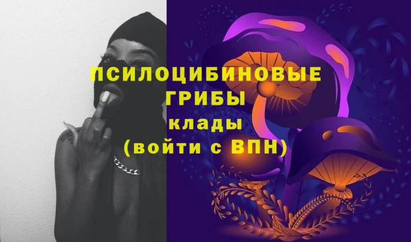 ALPHA PVP Гусь-Хрустальный