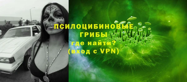 ALPHA PVP Гусь-Хрустальный