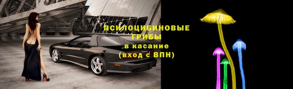 прущие крисы Гусев