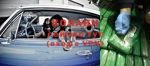 прущие крисы Гусев