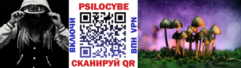 наркота  Тарко-Сале  Галлюциногенные грибы MAGIC MUSHROOMS 